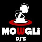 WedReviews - Dj לחתונה - מוגלי מוסיקה |  mowglidjs | מורן שניצר